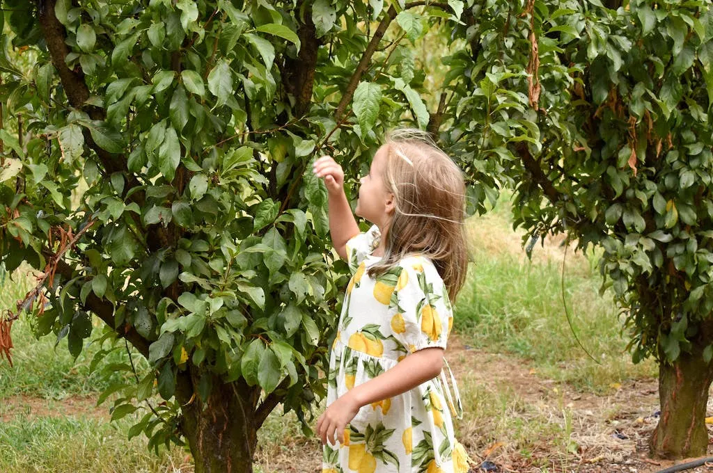 Alex & Ant Honey Dress - Lemons